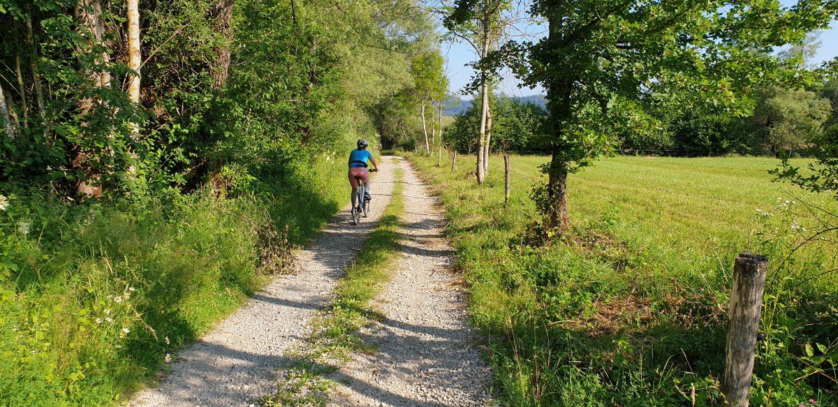 fantastic tracks all over the place for biking.. fantastic tracks all over the place for biking..