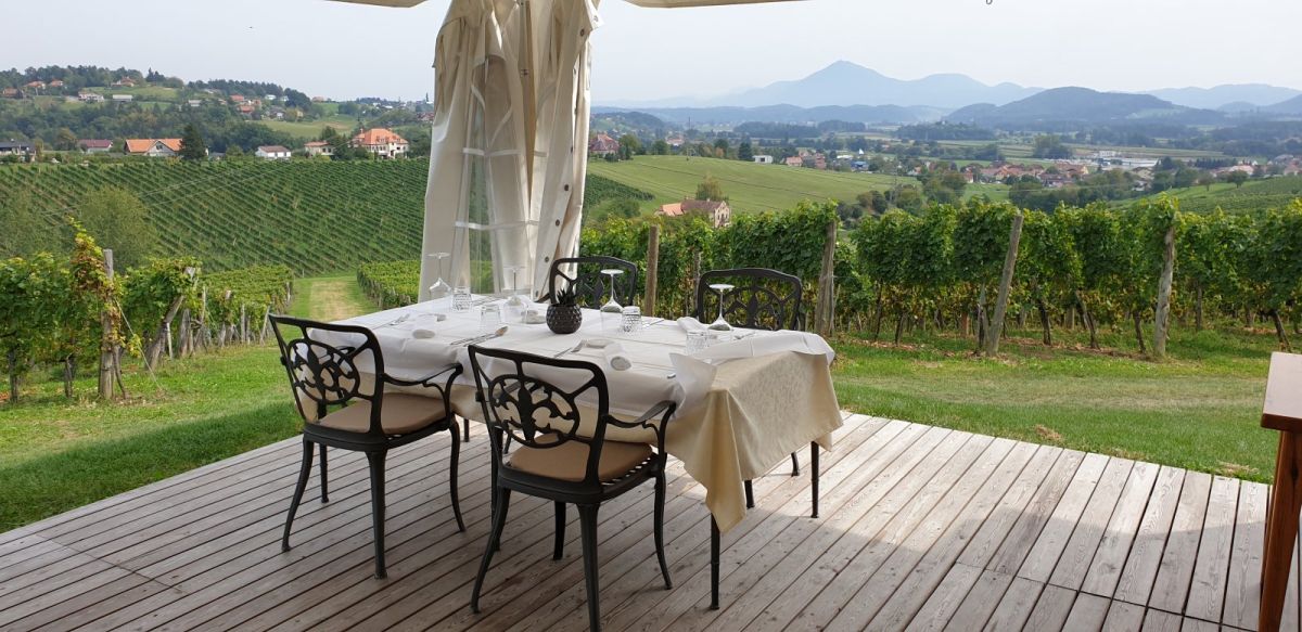 Grics restaurant in the middle of a beautiful vineyard..