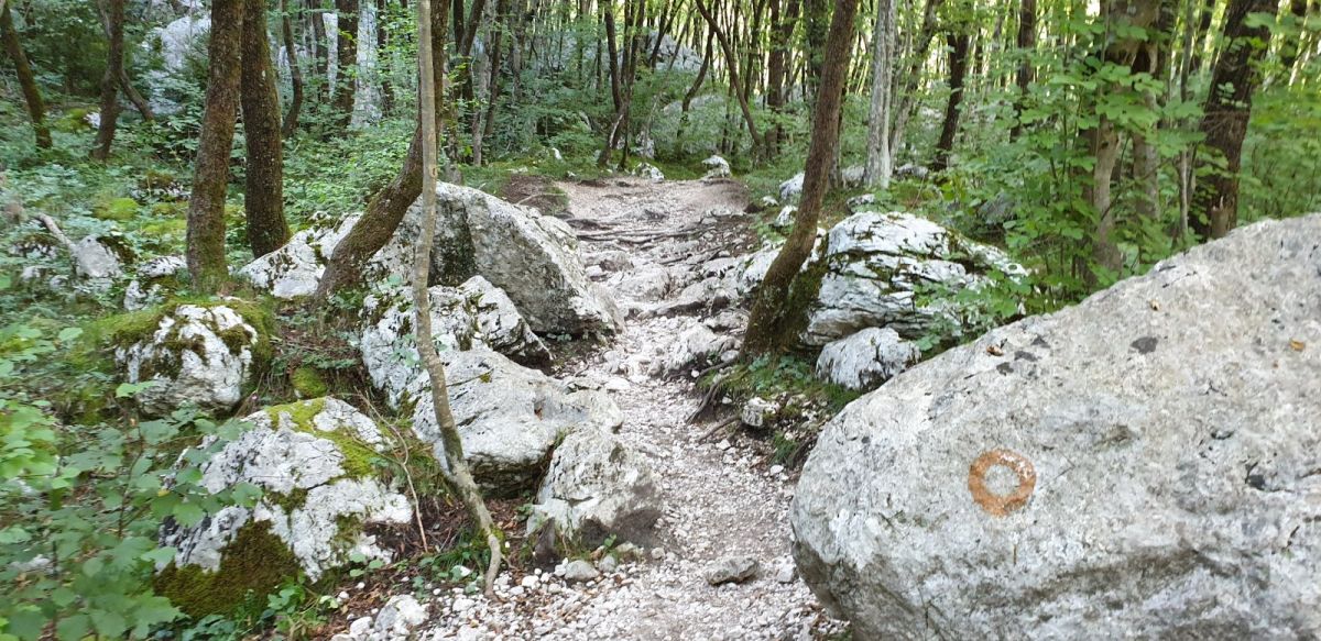 one of the best short forest hikes in Slovenia is here up to see the Boka falls.. one of the best short forest hikes in Slovenia is here up to see the Boka falls..