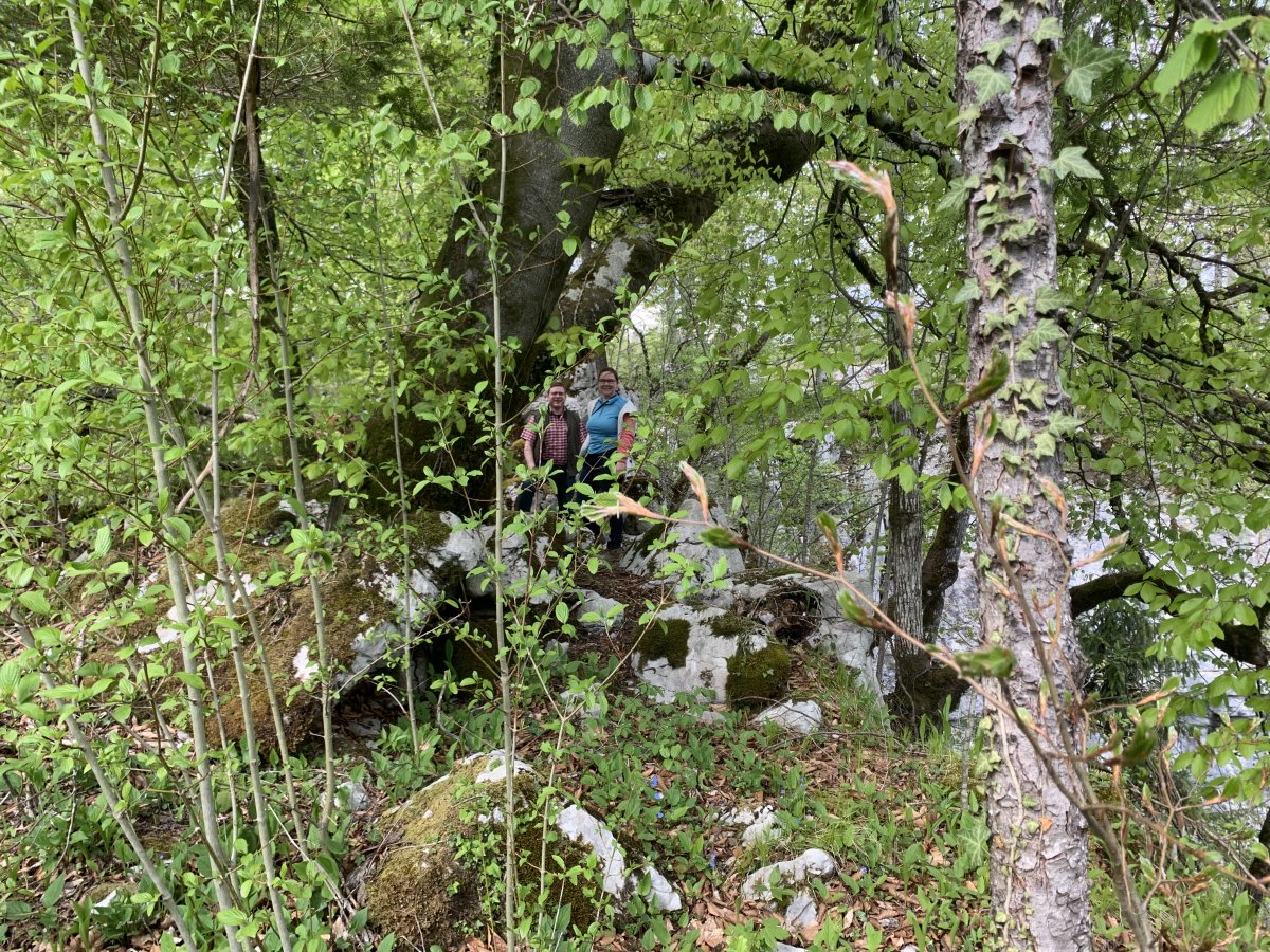 Rakov Skocjan is like being in the Slovenian jungle.. Rakov Skocjan is like being in the Slovenian jungle..