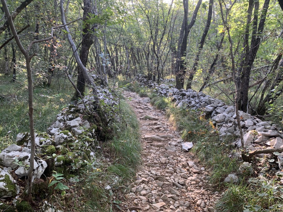 Find a secret hike exploring the forests of the Red Karst.. Find a secret hike exploring the forests of the Red Karst..