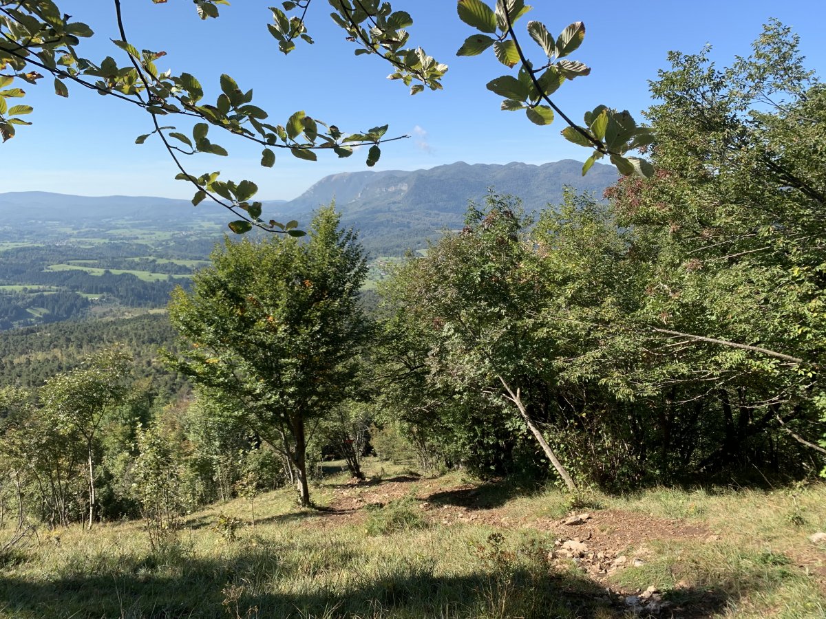 Half way up St Lawrence mountain with a view to the end of the Green Karst and Mt Nanos.. Half way up St Lawrence mountain with a view to the end of the Green Karst and Mt Nanos..