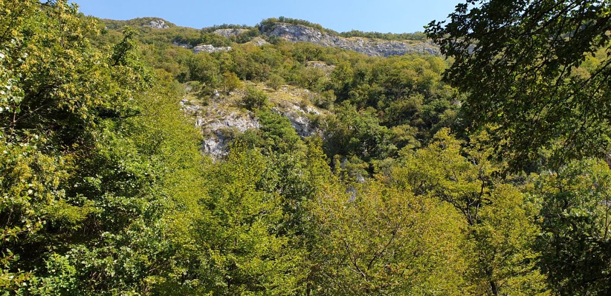 this is one route up to thenatural stone WINDOW, (Okno).. this is one route up to thenatural stone WINDOW, (Okno)..