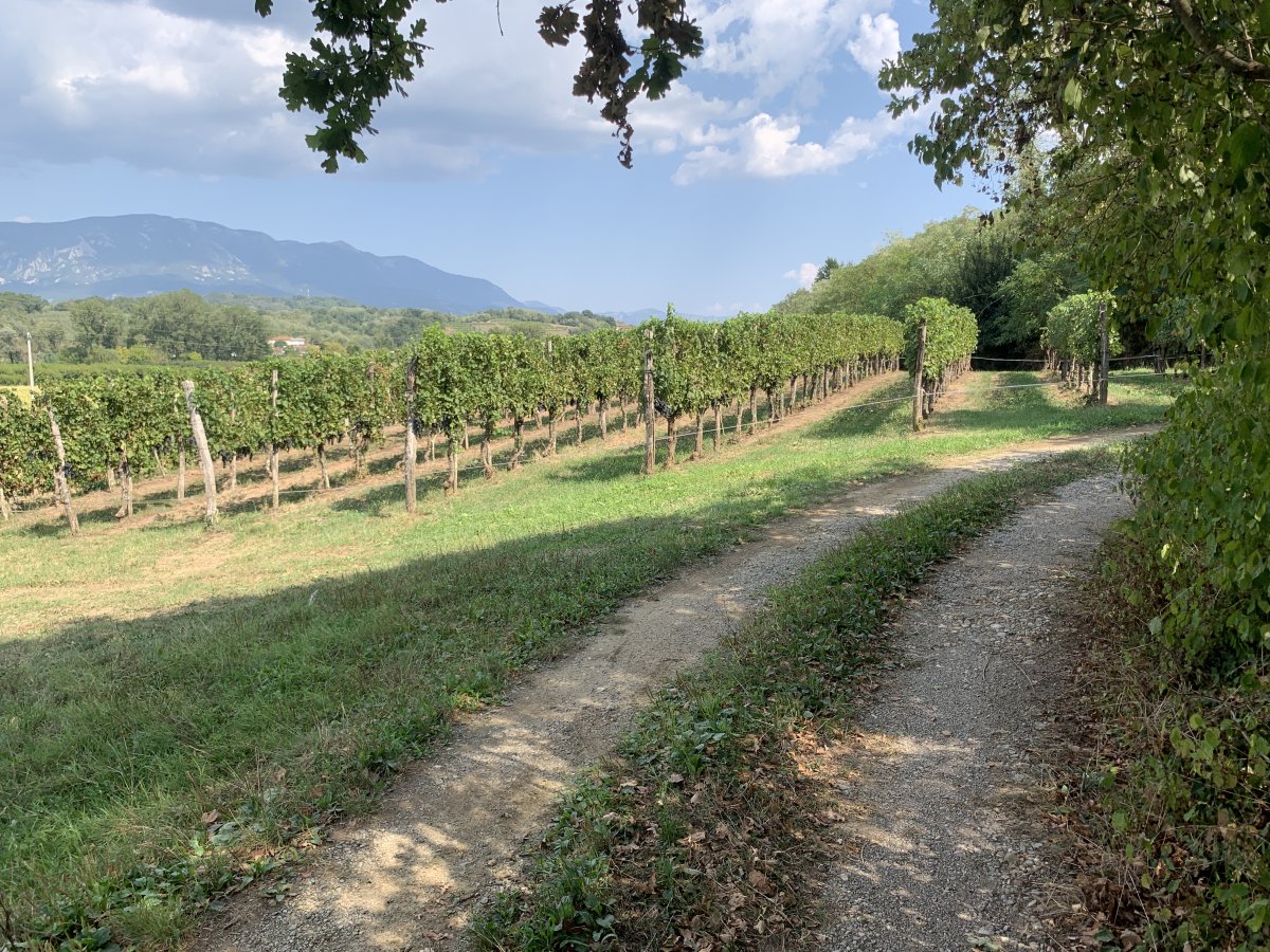 Hike along the Vipava River in the Vipava Wine Valley.. Hike along the Vipava River in the Vipava Wine Valley..