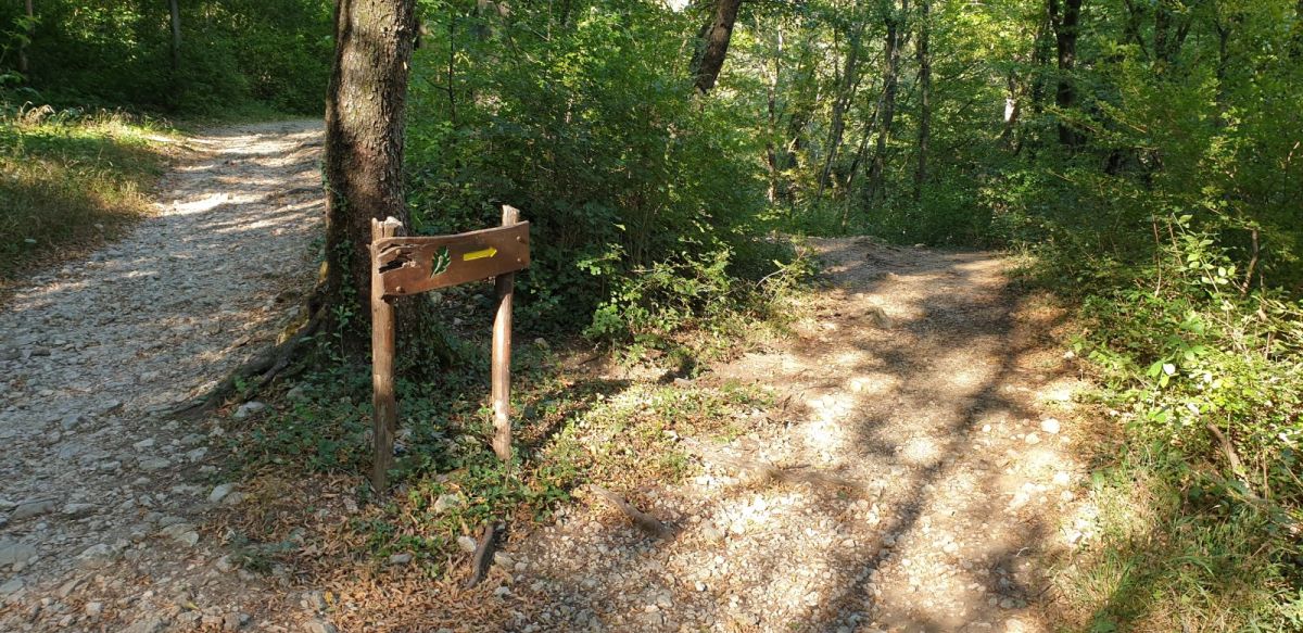 not much of a clue, but go right and you will find the most wonderful freshwater oasis for a bit of a swim! not much of a clue, but go right and you will find the most wonderful freshwater oasis for a bit of a swim!