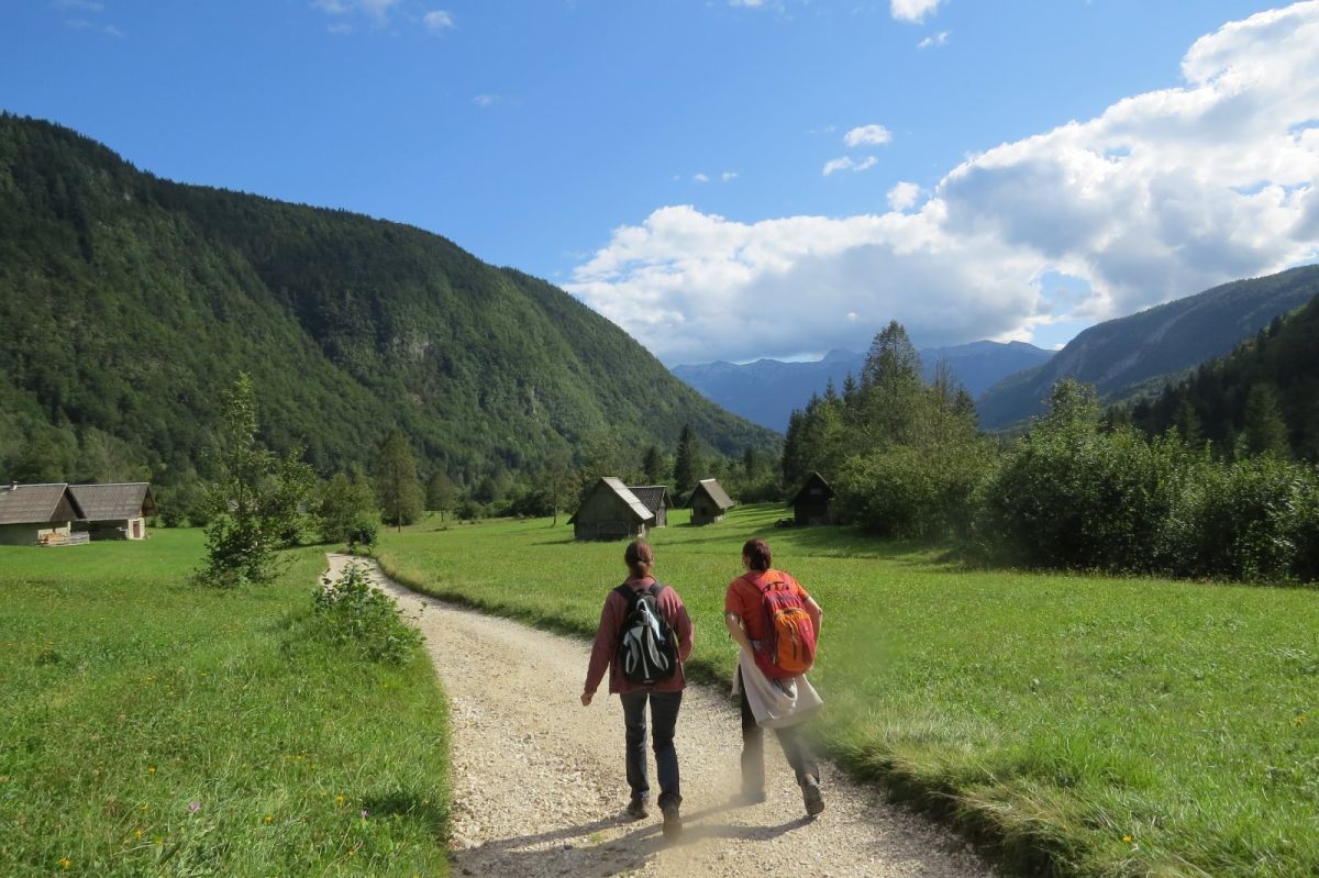 on the path back to Little Bridge Gorge (Mostnica).. on the path back to Little Bridge Gorge (Mostnica)..