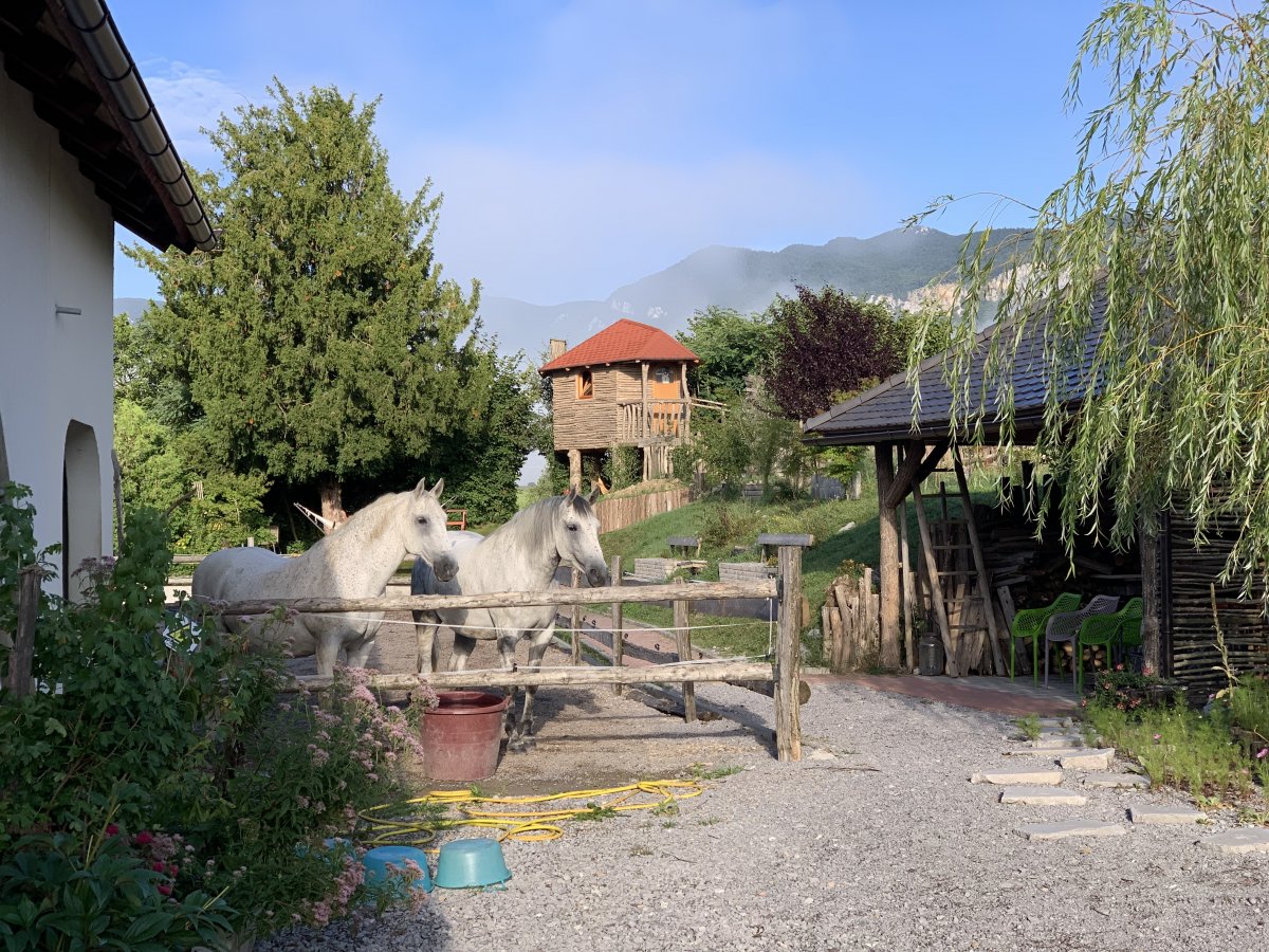 Our Owlery is constructed of 7 different local woods, has 5 walls and you will need to count the number of owls inside as it constantly changes.. Our Owlery is constructed of 7 different local woods, has 5 walls and you will need to count the number of owls inside as it constantly changes..