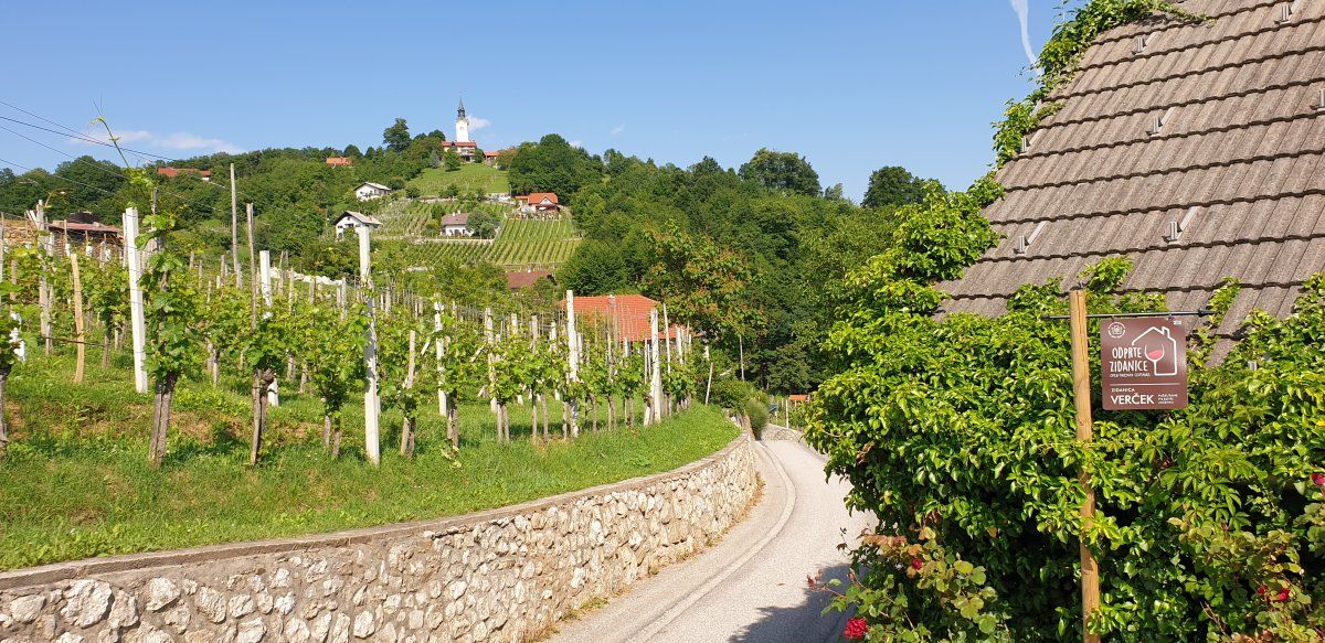 on a hill in the heart of the CVICEK wine producing region around Novo Mesto..