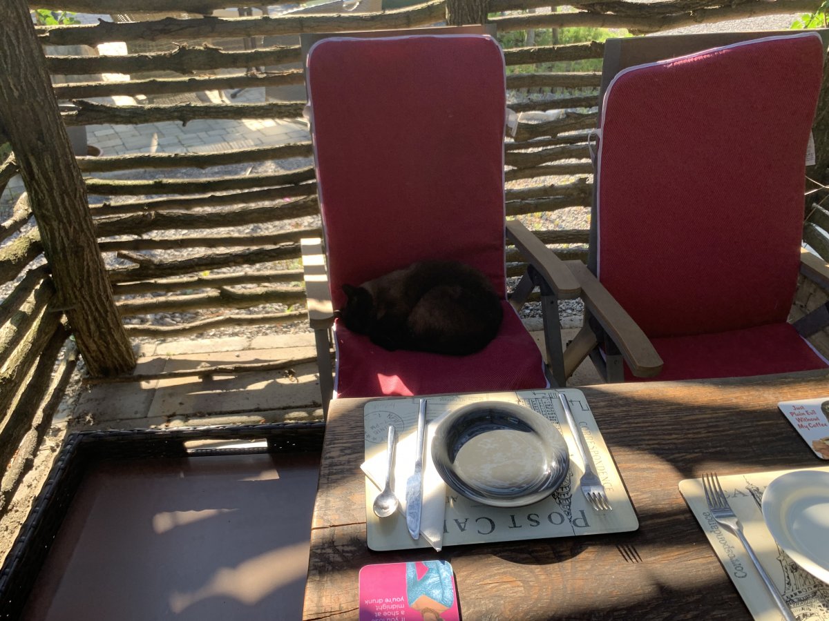Get down to brekkie on time or Jason will nick your chair!