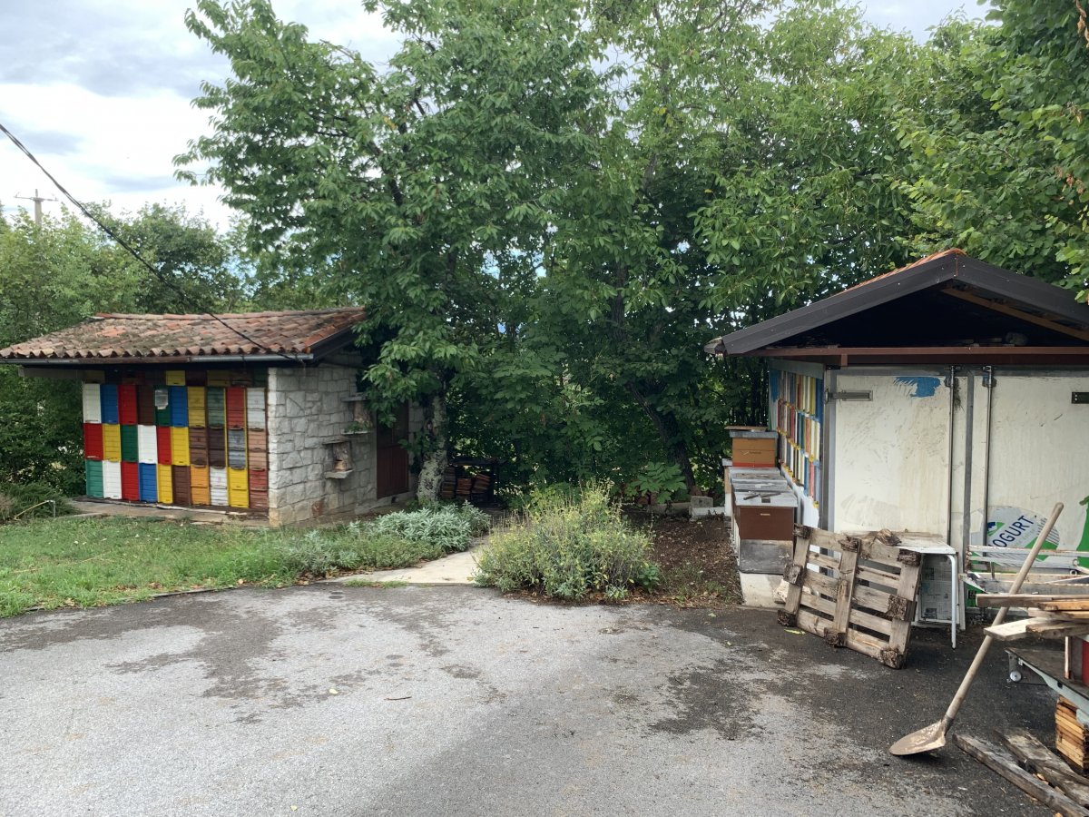 Slovenia invented this colourful method of bee keeping..