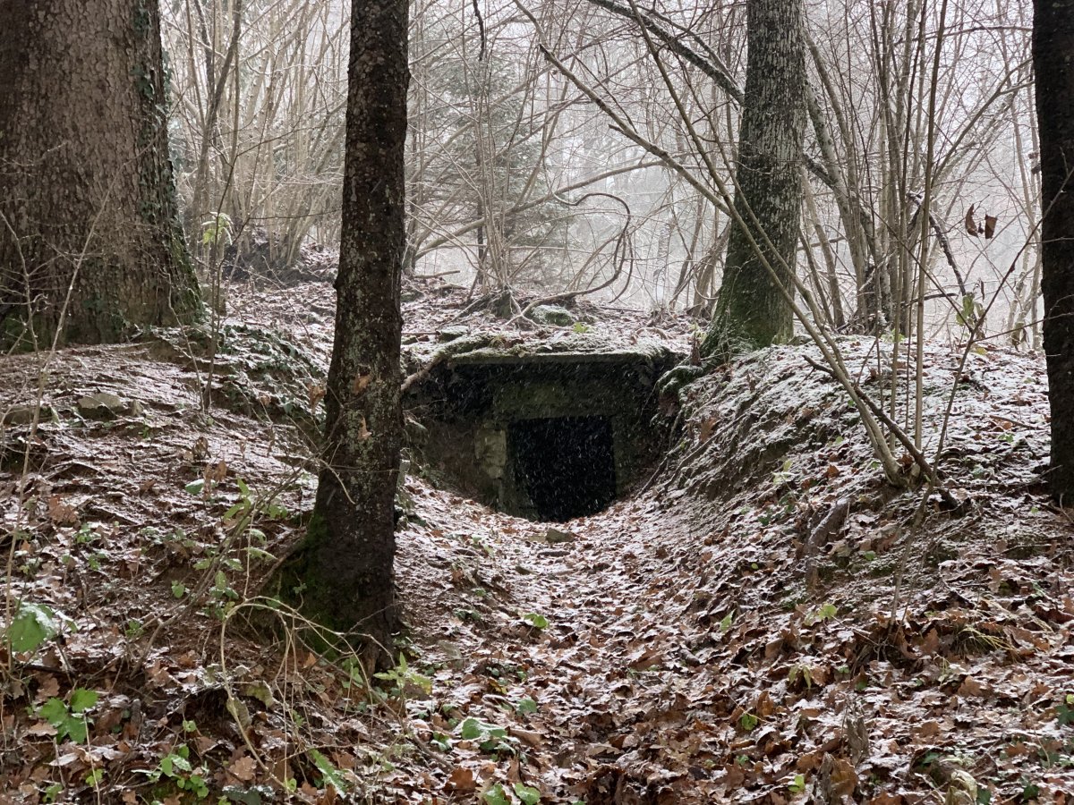 look out for lots of secret bunkers hidden in the forests around here..