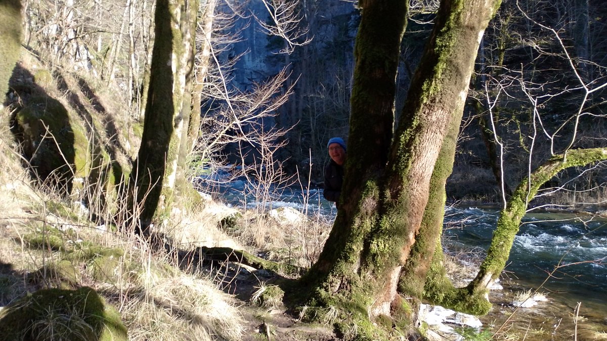 There are plenty of trees to hide behind and make silly faces..