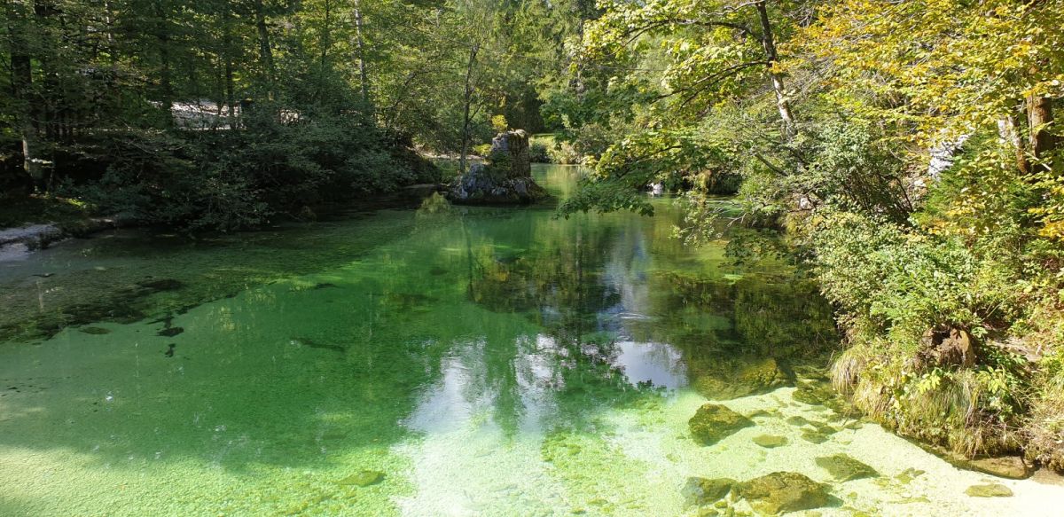 It really is so Green here, so we call it Green Slovenia.. It really is so Green here, so we call it Green Slovenia..