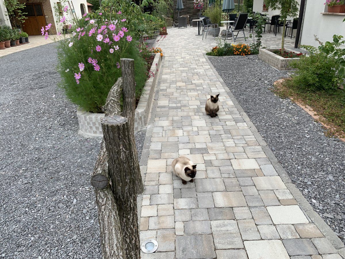 Of course to even just make it into the Lodge, you will need to get past our Siamese guard cats!! Of course to even just make it into the Lodge, you will need to get past our Siamese guard cats!!