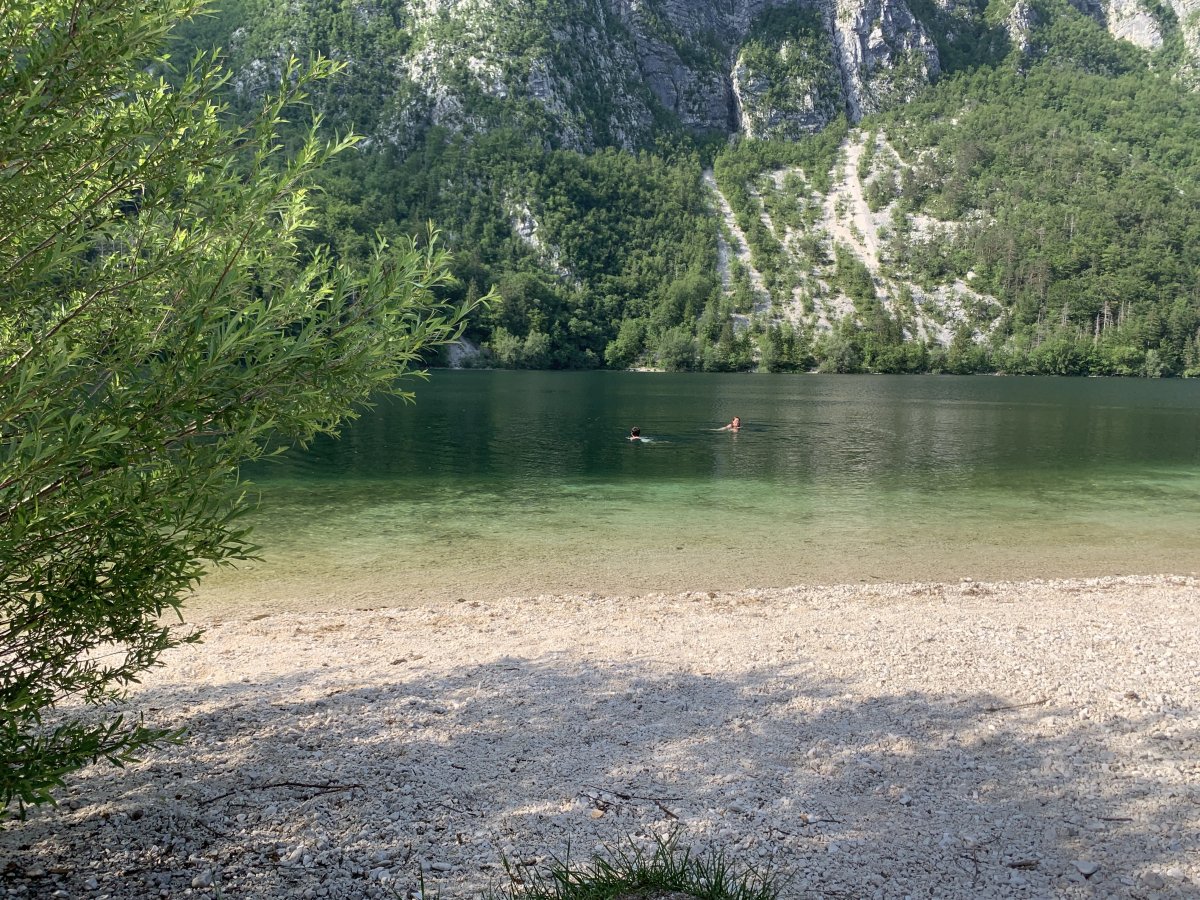 if anyone tells you Green Slovenia is too busy, show them this piccy and tell them to read a bit more of this website! if anyone tells you Green Slovenia is too busy, show them this piccy and tell them to read a bit more of this website!
