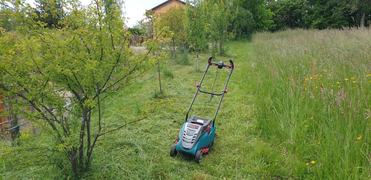 here's our little Bosch E Mower.. still going strong! here's our little Bosch E Mower.. still going strong!