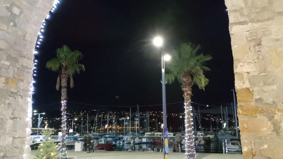 Hard to believe this is Green Slovenia in the winter, but these are real palm trees baby.. Hard to believe this is Green Slovenia in the winter, but these are real palm trees baby..