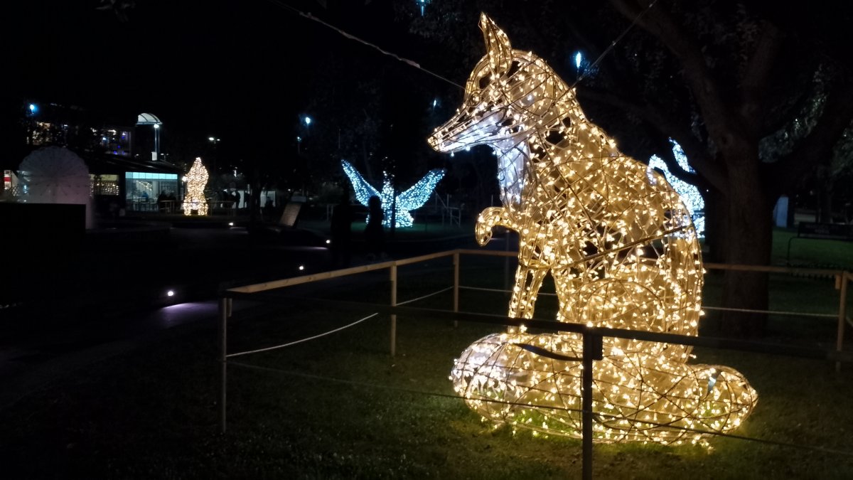 Xmas Lights in Koper