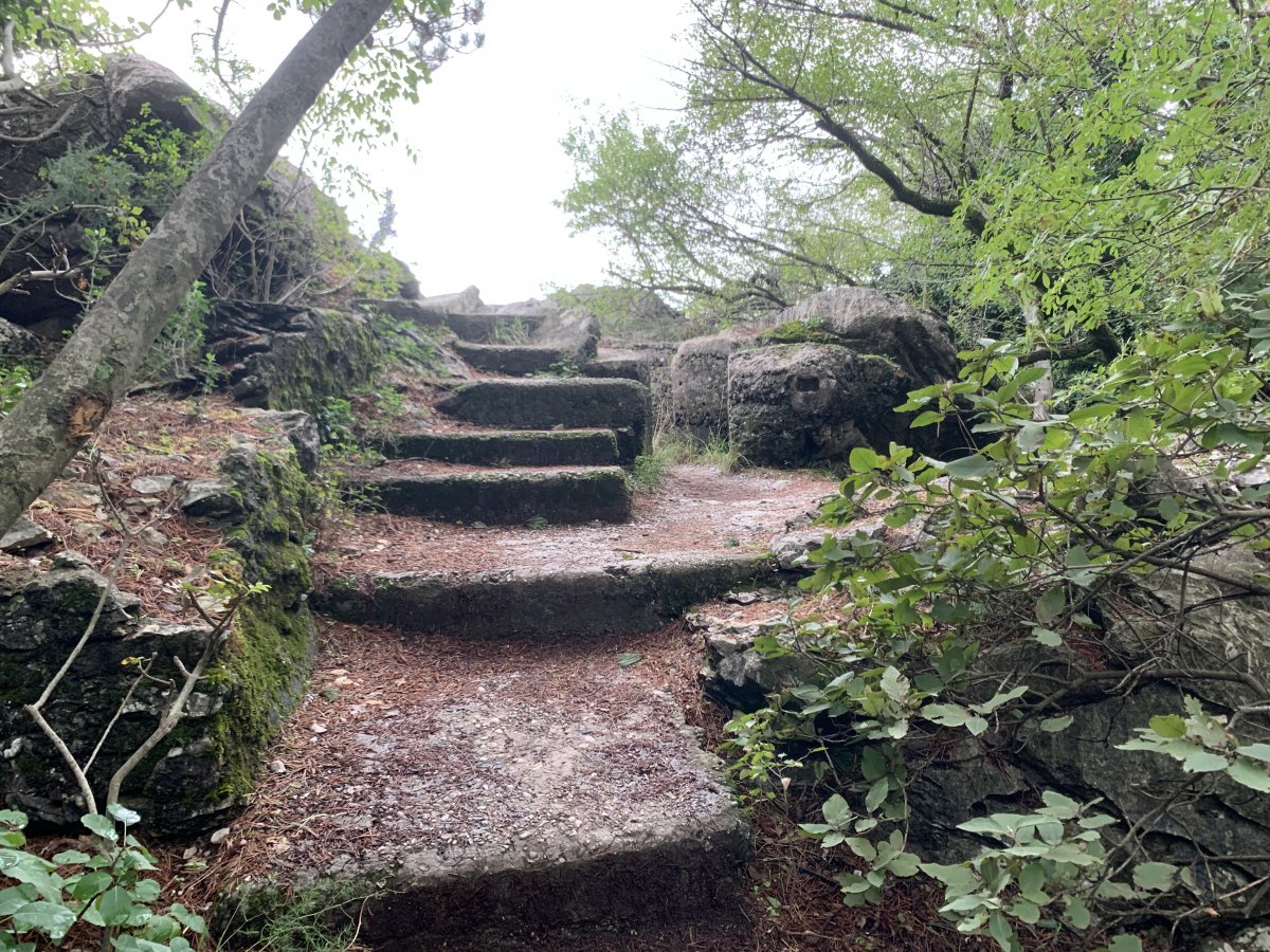 Steps up to one of the fab WW1 lookout points along the cliff.. Steps up to one of the fab WW1 lookout points along the cliff..