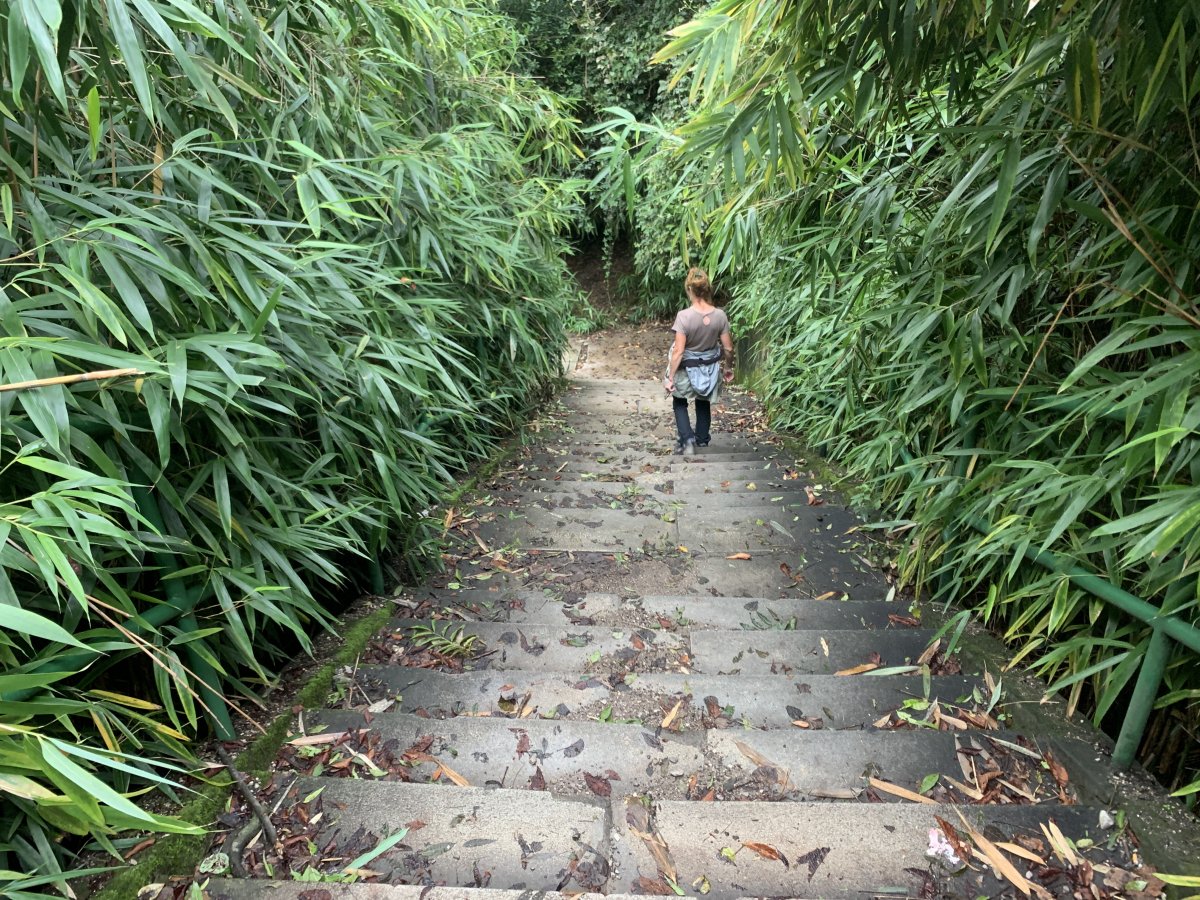 Go down the bamboo steps from Sistiana towards the sea.. Go down the bamboo steps from Sistiana towards the sea..