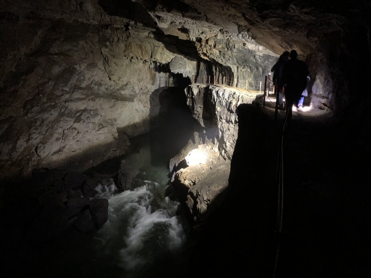 The tour is all about walking next to or above the two rivers that run though the longest water cave in Slovenia.. The tour is all about walking next to or above the two rivers that run though the longest water cave in Slovenia..