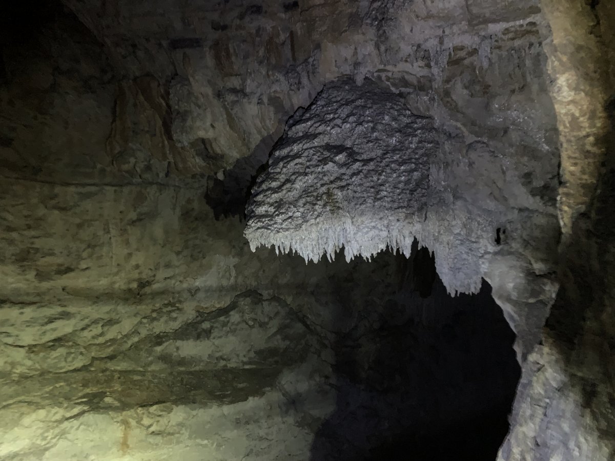 the Mother Dragon guards the middle of the cave.. the Mother Dragon guards the middle of the cave..