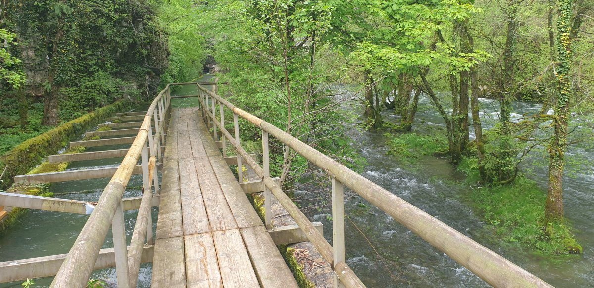 Just a 5 min walk to the cave mouth, but you will not get a more sensational walk to a cave tour anywhere in the world.. Just a 5 min walk to the cave mouth, but you will not get a more sensational walk to a cave tour anywhere in the world..