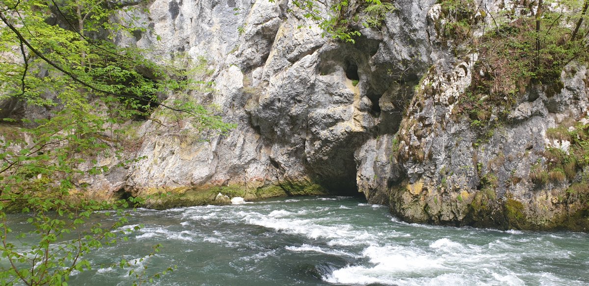 the River Unica thunders out of the cave mouth and powers along right next to your feet.. the River Unica thunders out of the cave mouth and powers along right next to your feet..