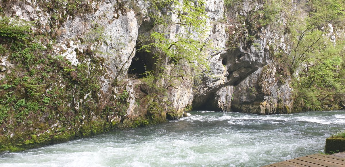Amazing to think this open space was ALSO inside the cave at one point.. Amazing to think this open space was ALSO inside the cave at one point..