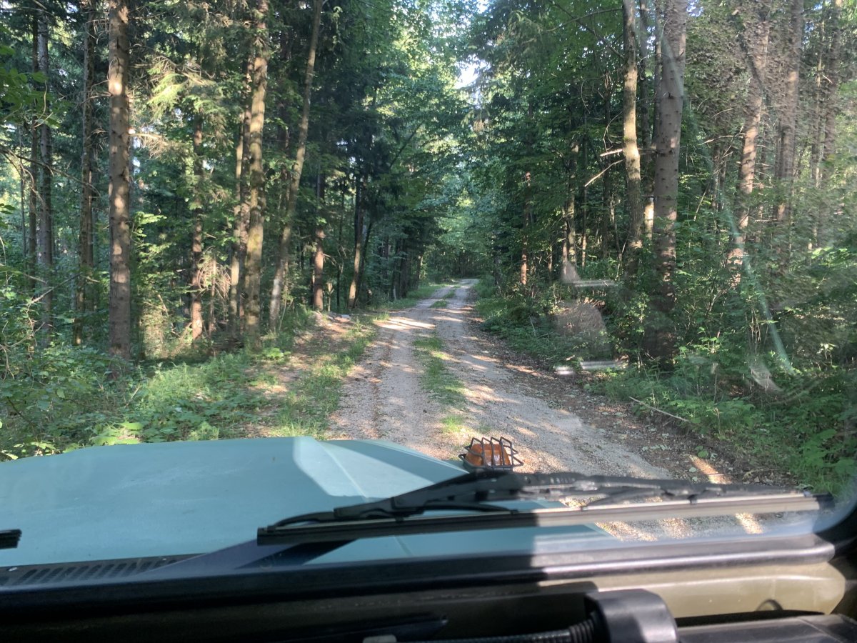 the hunter drives you to a secret forest location.. the hunter drives you to a secret forest location..