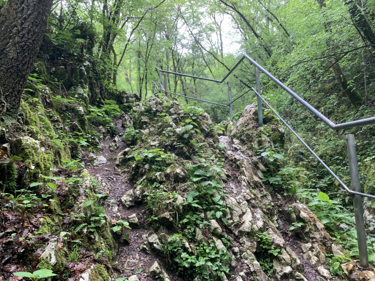 you can see the top of the gorge from here, but need to go down here to get to the bottom..