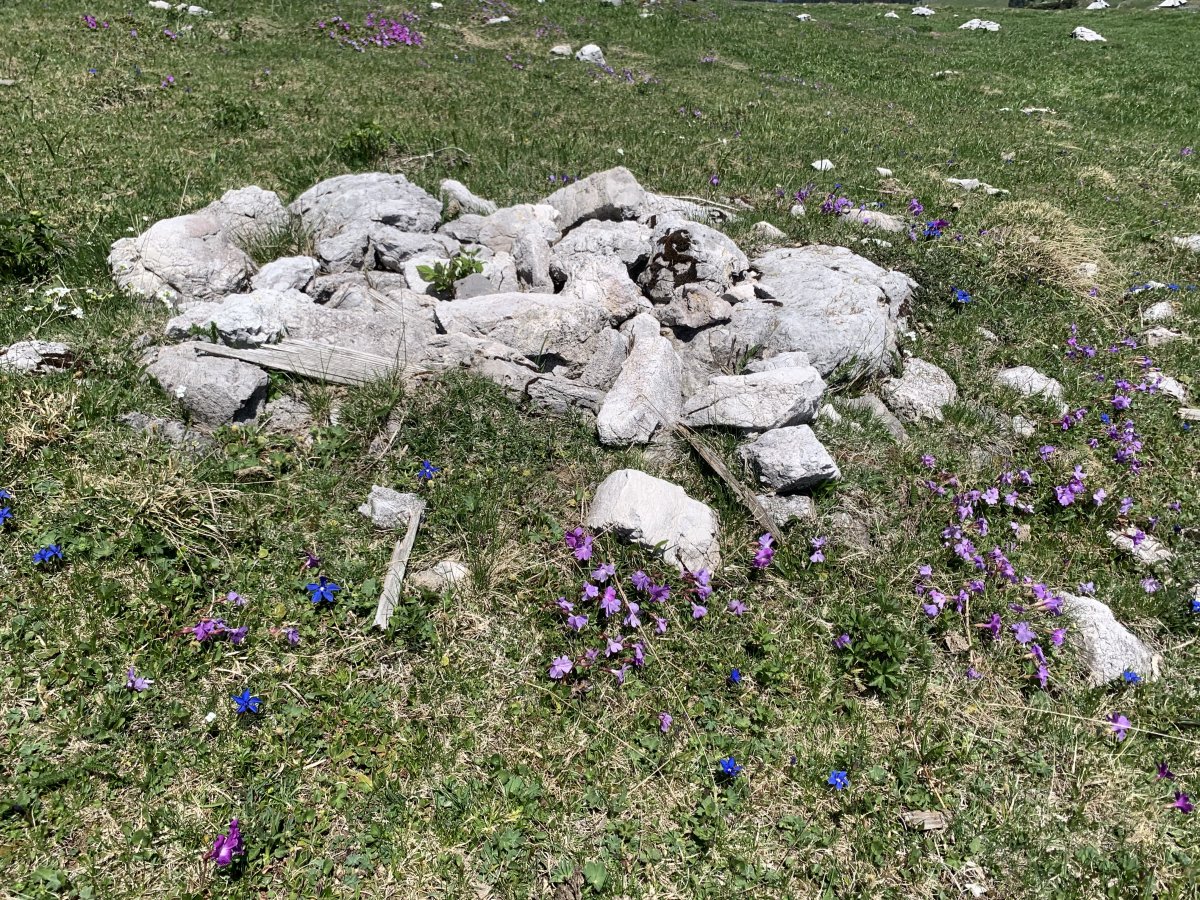 May is a fab time to see the new spring flowers cover the mountain top like a carpet.. May is a fab time to see the new spring flowers cover the mountain top like a carpet..
