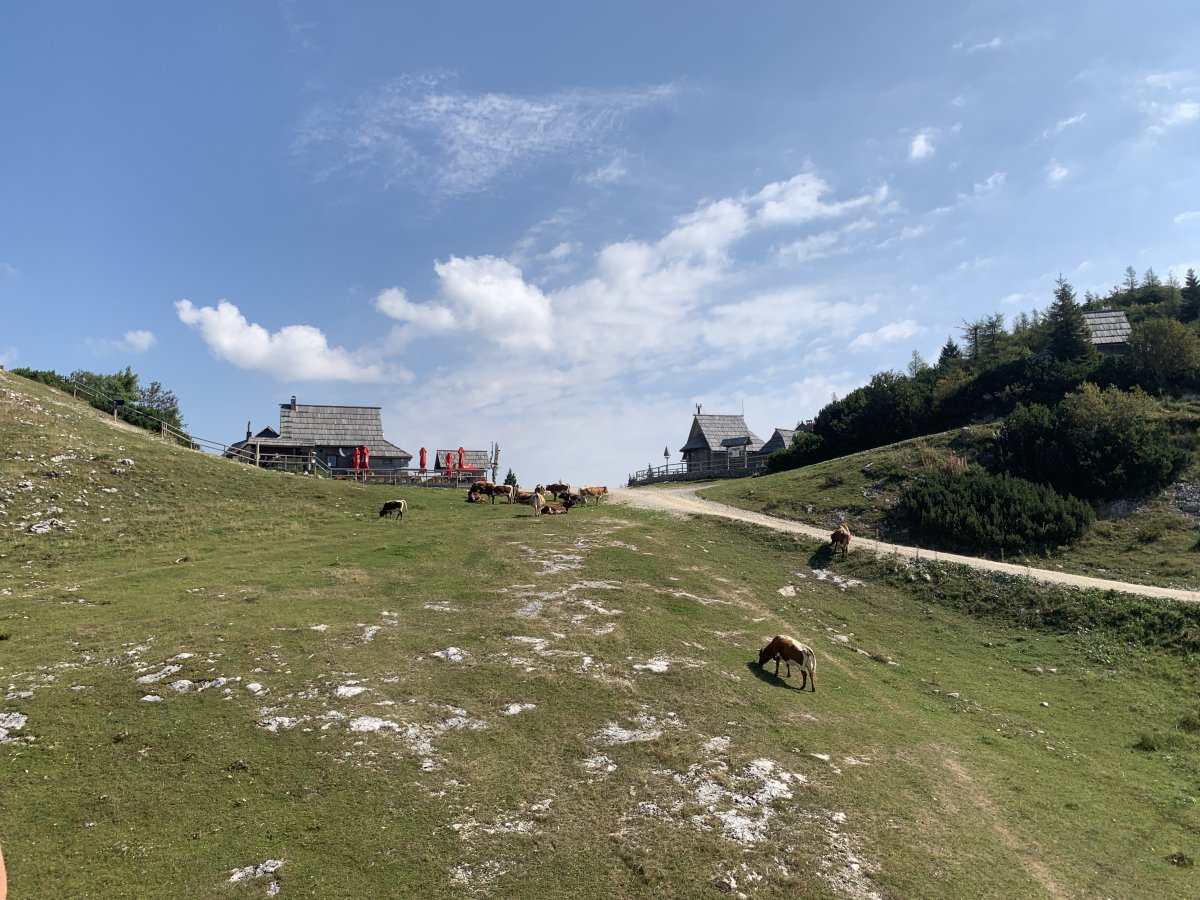 The ski Lift will drop you off at this first main cafe OR you can hike up the stone track here.. The ski Lift will drop you off at this first main cafe OR you can hike up the stone track here..