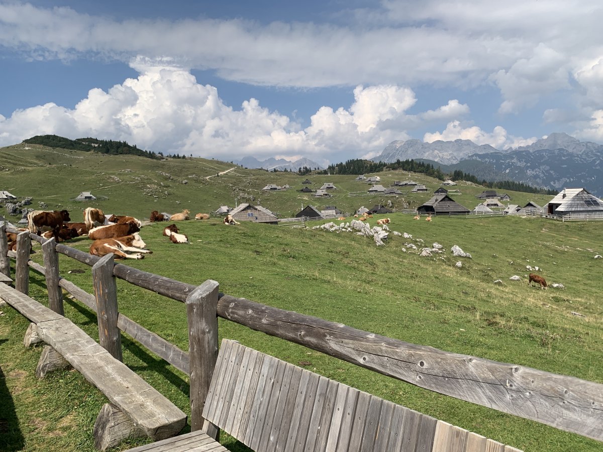 Velika Planina means Big Mountain Meadow in English, you can see why here.. Velika Planina means Big Mountain Meadow in English, you can see why here..