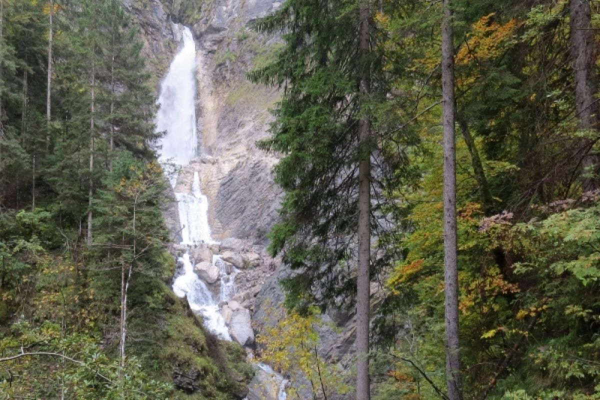 hike to the 2 Waterfalls of Martulek Forest (Gozd)