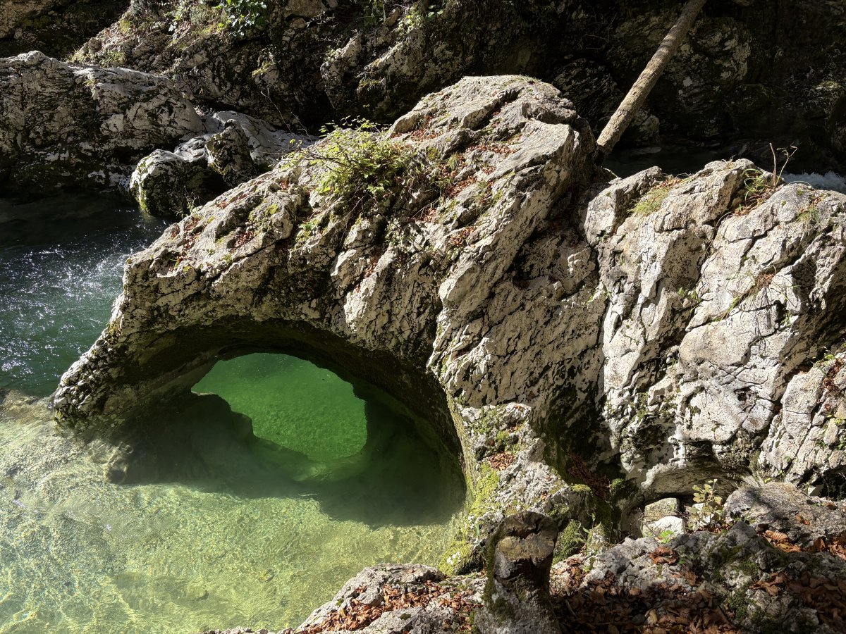 An elephant drinks from the crystal clear water.. An elephant drinks from the crystal clear water..
