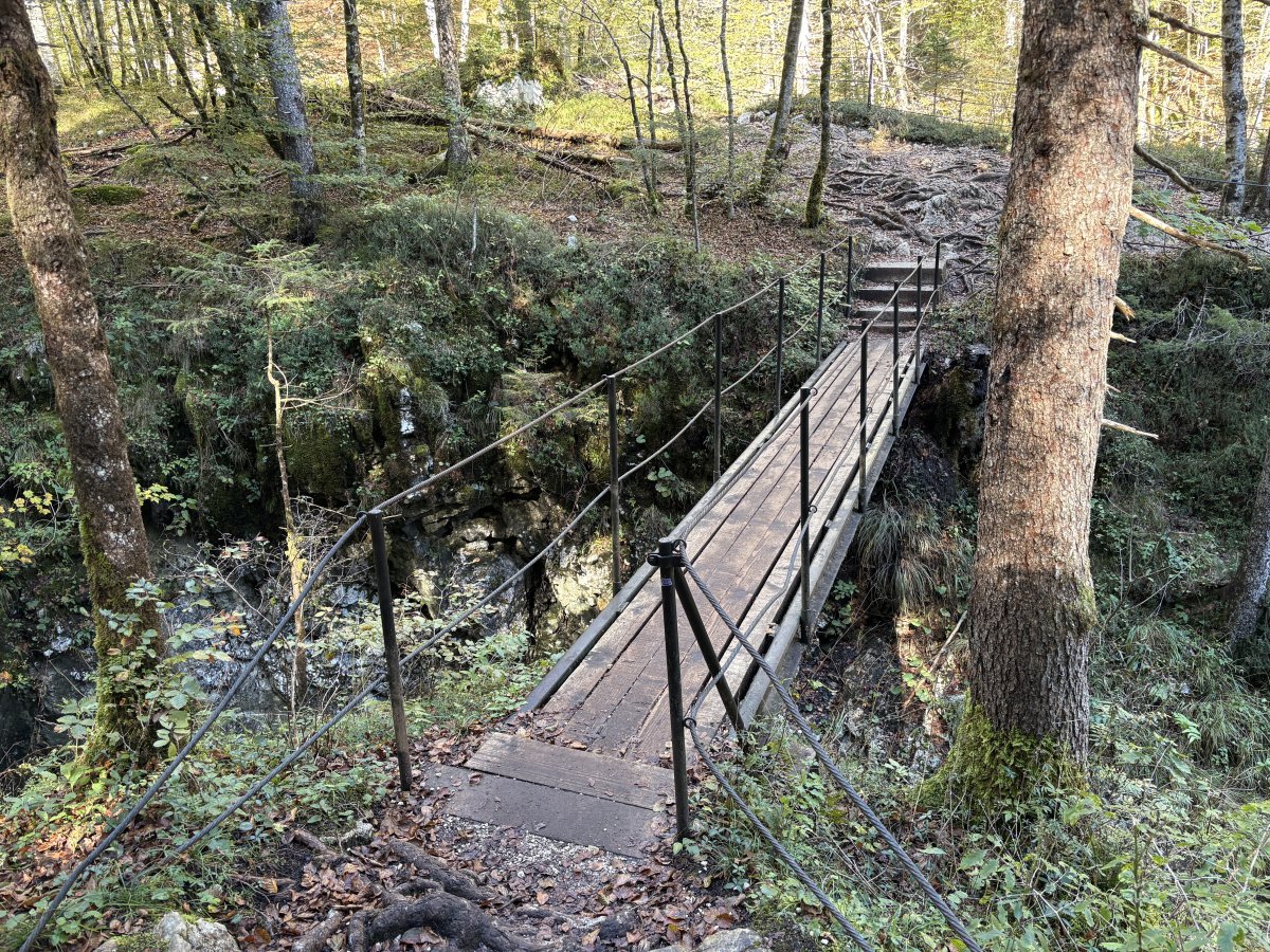This is not the Little Bridge either, but a mighty fine wooden bridge to enjoy the views from.. This is not the Little Bridge either, but a mighty fine wooden bridge to enjoy the views from..