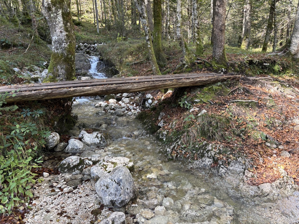 You can see why we just had to have a BRIDGE section on our website as there are so many cool bridges here in all shapes, types and sizes.. You can see why we just had to have a BRIDGE section on our website as there are so many cool bridges here in all shapes, types and sizes..