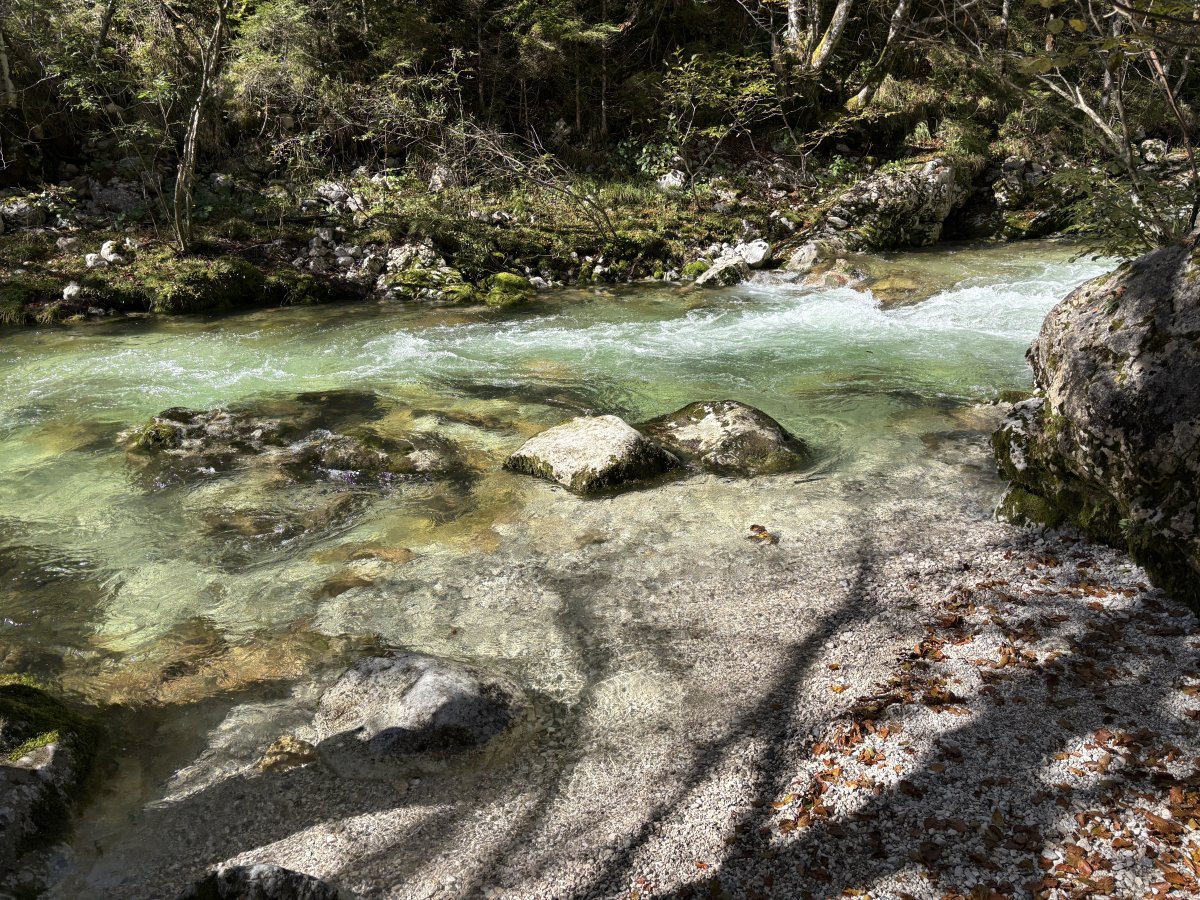 Make time to explore the little white pebble beaches along the river.. Make time to explore the little white pebble beaches along the river..