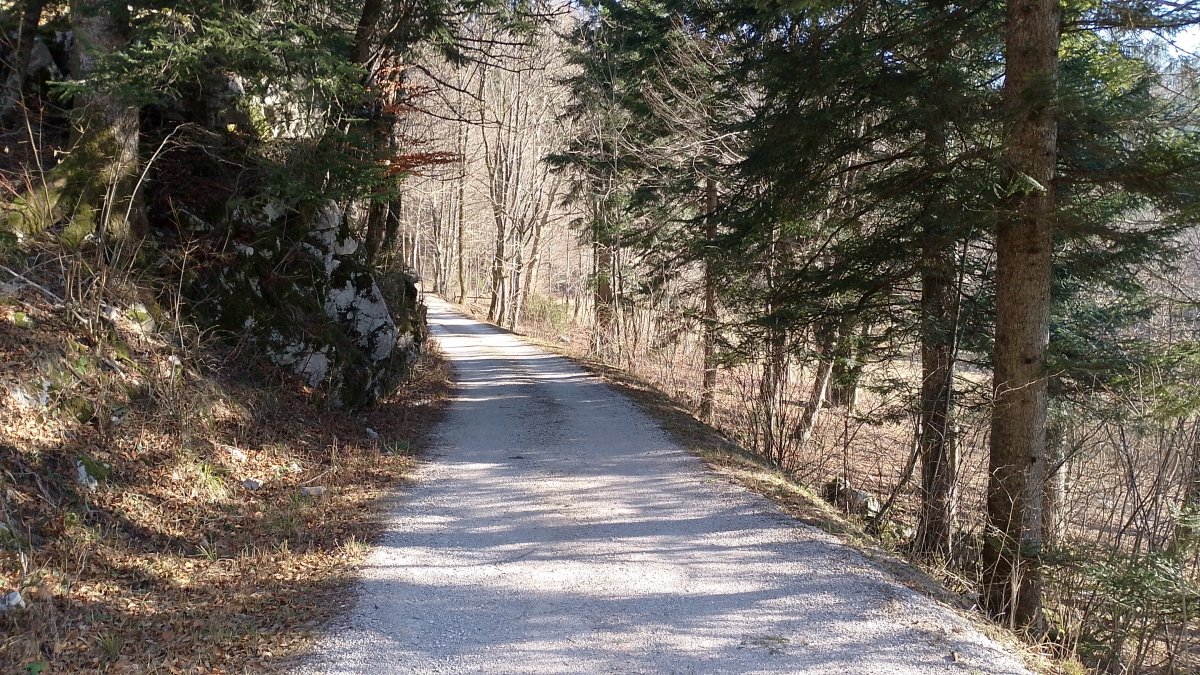 This is the stone road that goes upriver and where you strt the full loop hike..