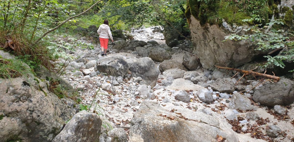 the delight of walking down a dry river.. this one has perfect white pebbles, rocks and boulders.. the delight of walking down a dry river.. this one has perfect white pebbles, rocks and boulders..