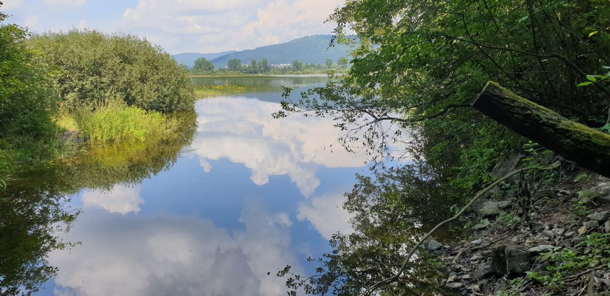 one of the water avenues that fill the biggest disappearing lake in Europe at Cerknica..