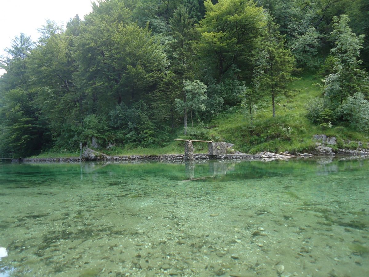 the beautiful Bela Idrija river..