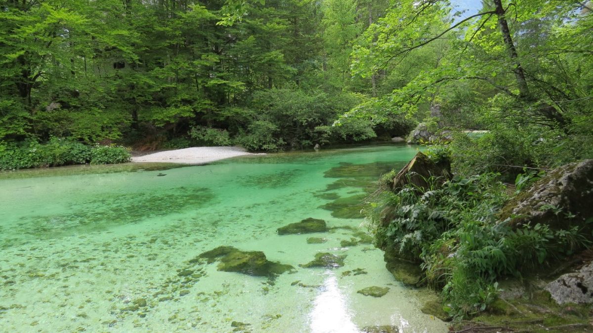 choose your private beach at lake Bohinj..