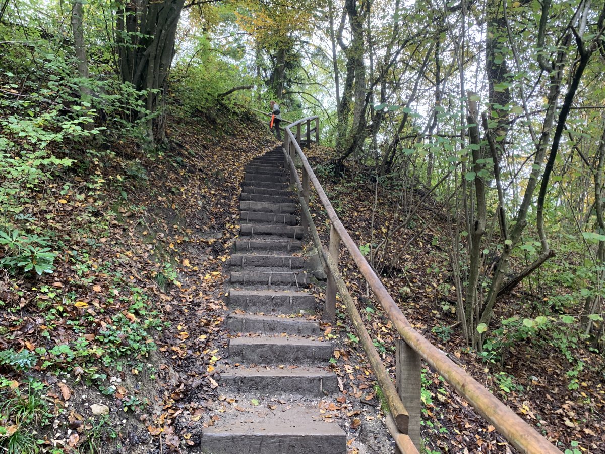 More steep steps on the path from the gorge back to the main visitor centre..