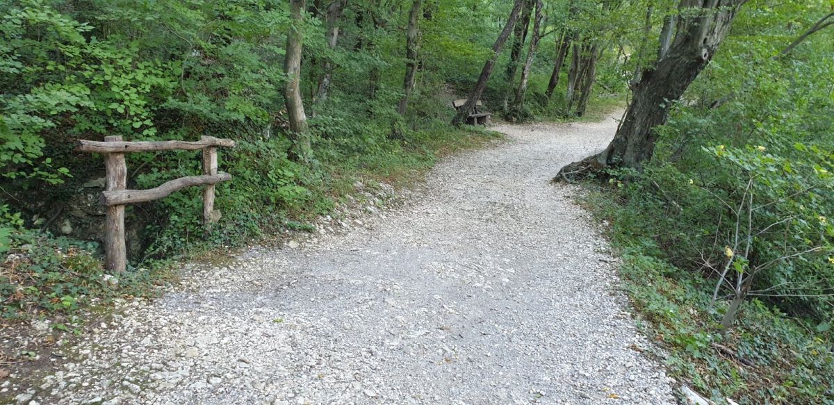 there is a lovely secret path from the river spring all the way to the bottom.. there is a lovely secret path from the river spring all the way to the bottom..