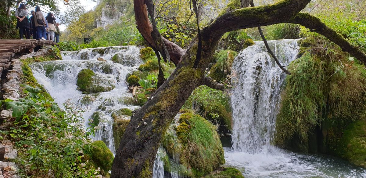Plitvice lakes.. join the beautiful queue!