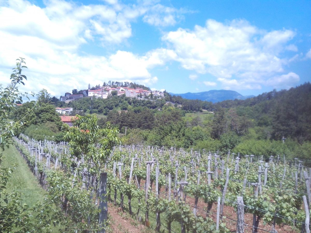 Stanjel, capitale de la région viticole de Teran..