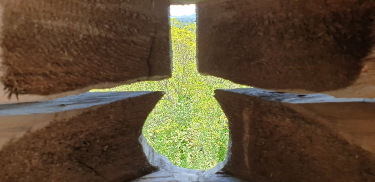(all the trees around the Tabor were cut in the old days to give the archers a perfect view of attackers..now we get a different, but equally perfect view!)