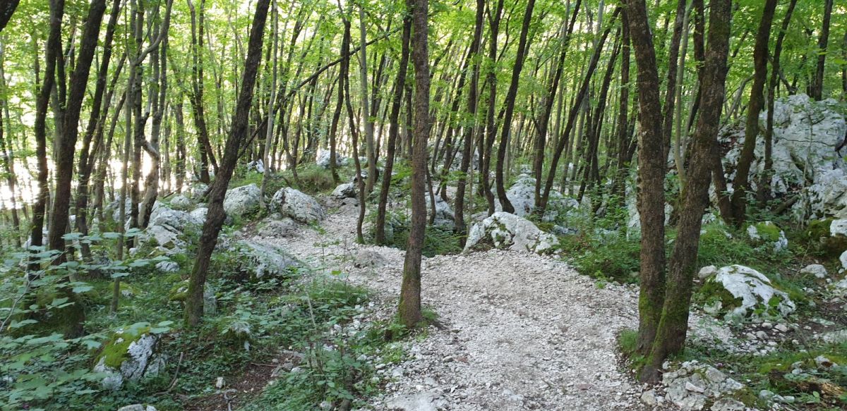 the hiking path to the Falls is picture perfect and shady on a hot summer day..